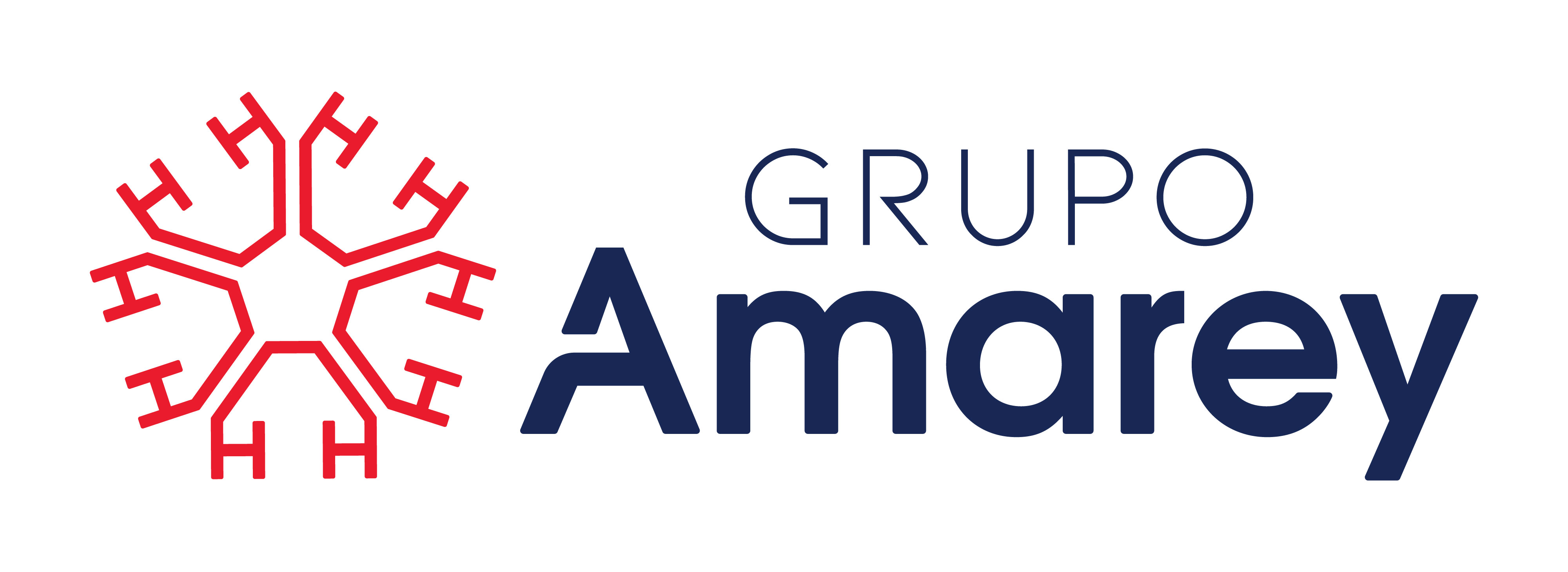 Grupo Amarey